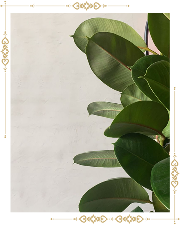 Sustainable by Intuition